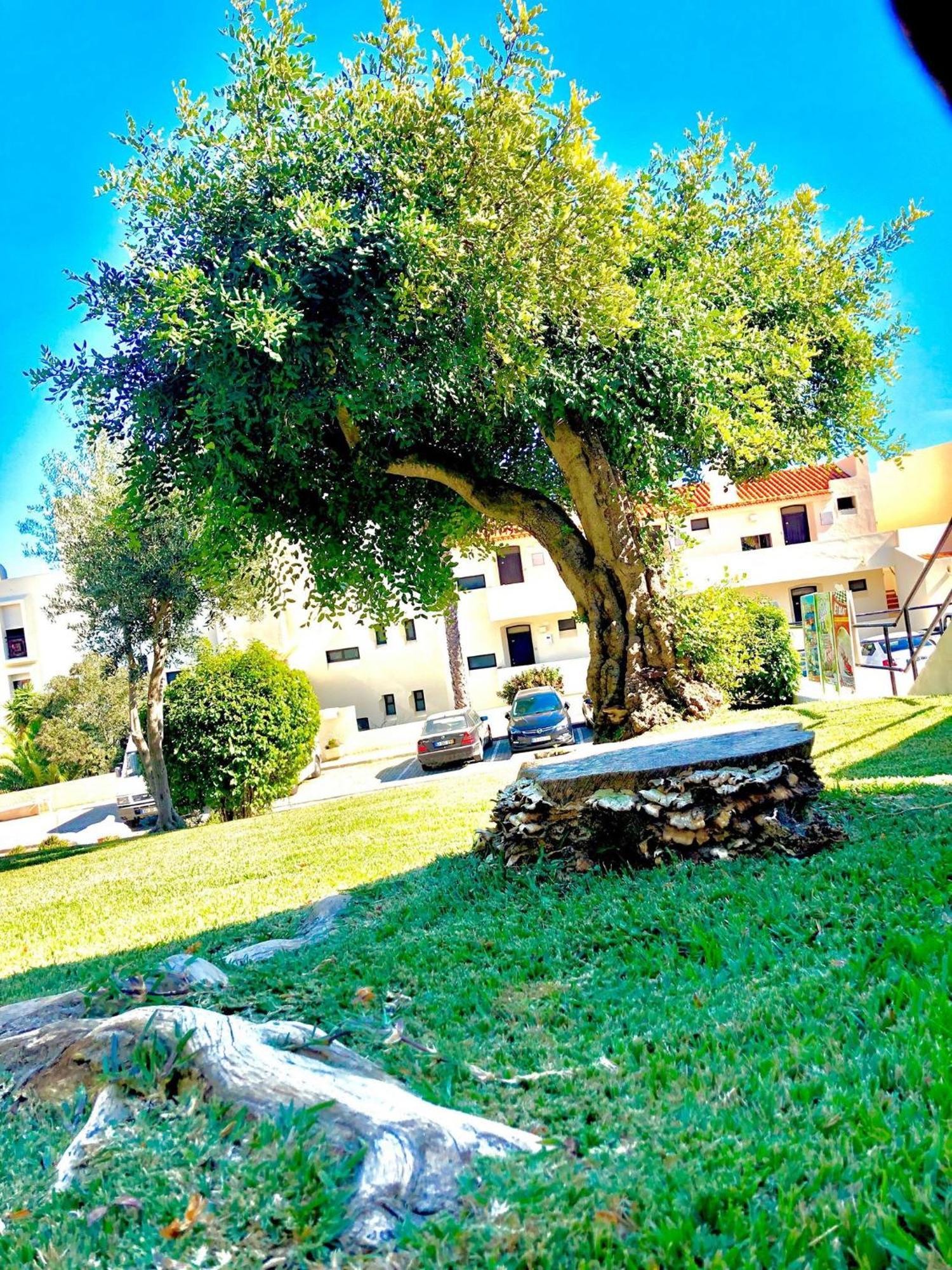 Albufeira Jardim - Apartamentos Turisticos Luaran gambar