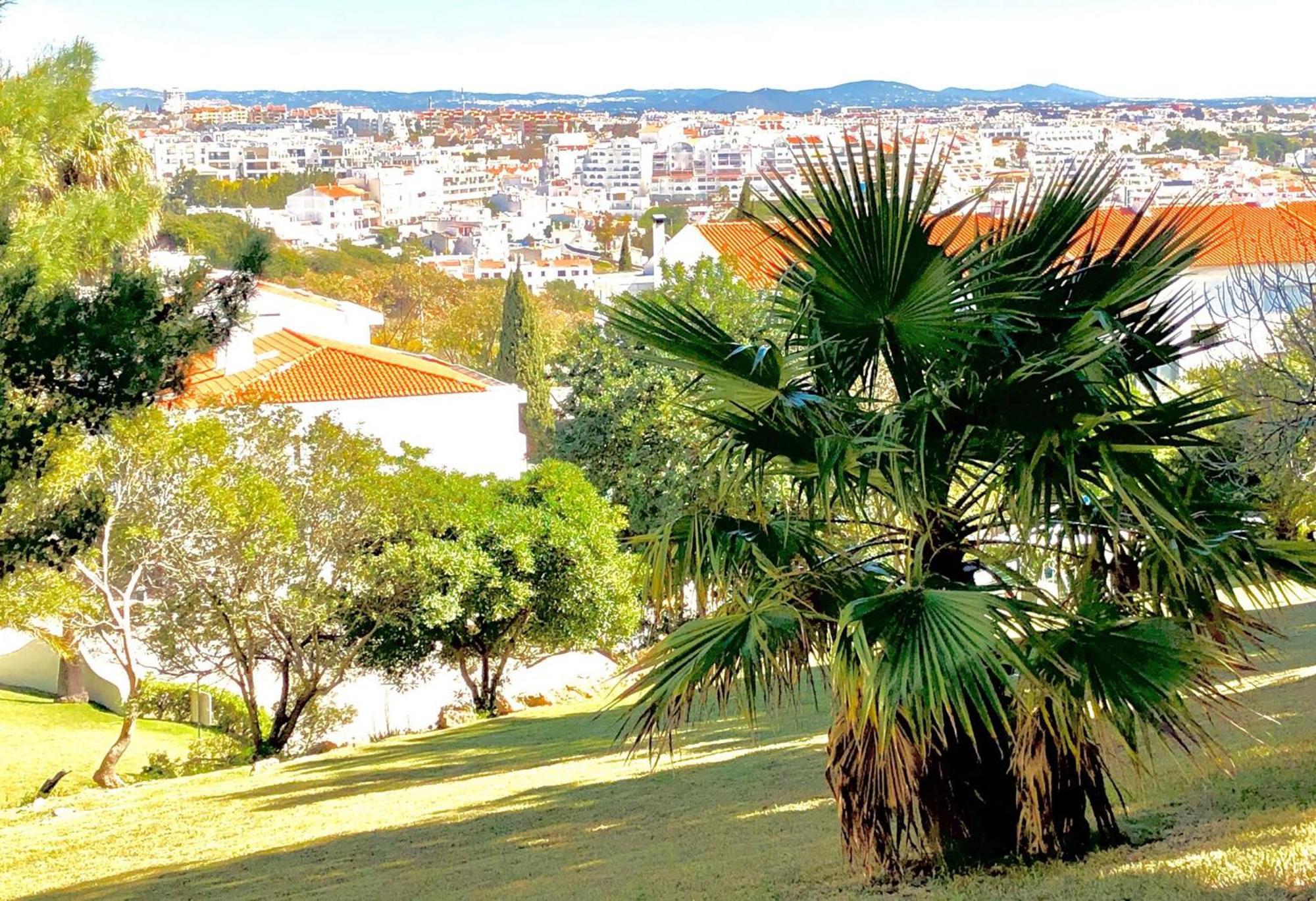 Albufeira Jardim - Apartamentos Turisticos Luaran gambar